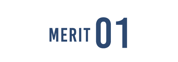 merit01