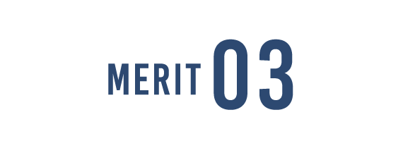 merit03