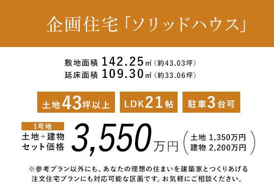 企画住宅「ソリッドハウス」